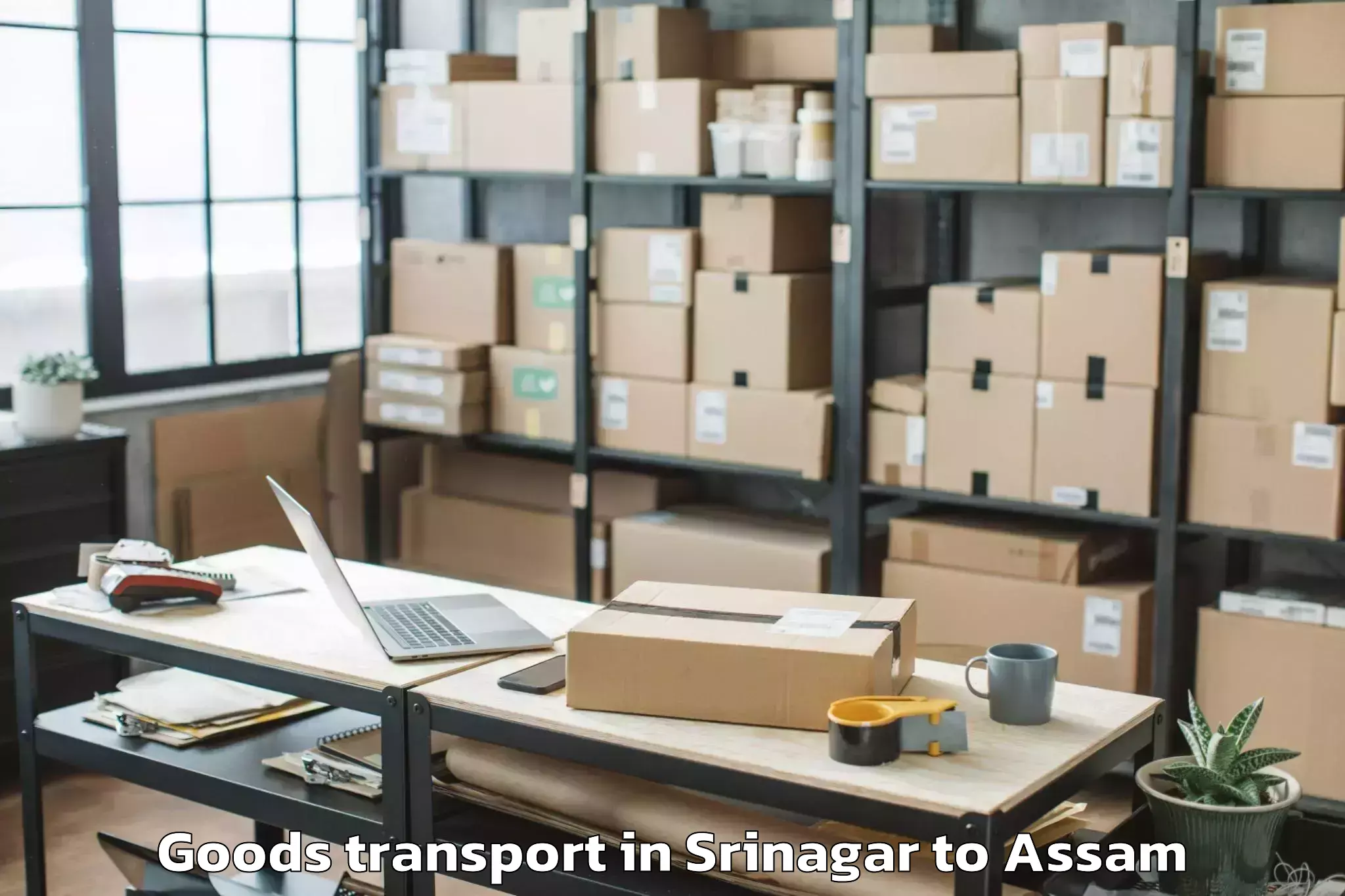 Discover Srinagar to Amguri Goods Transport